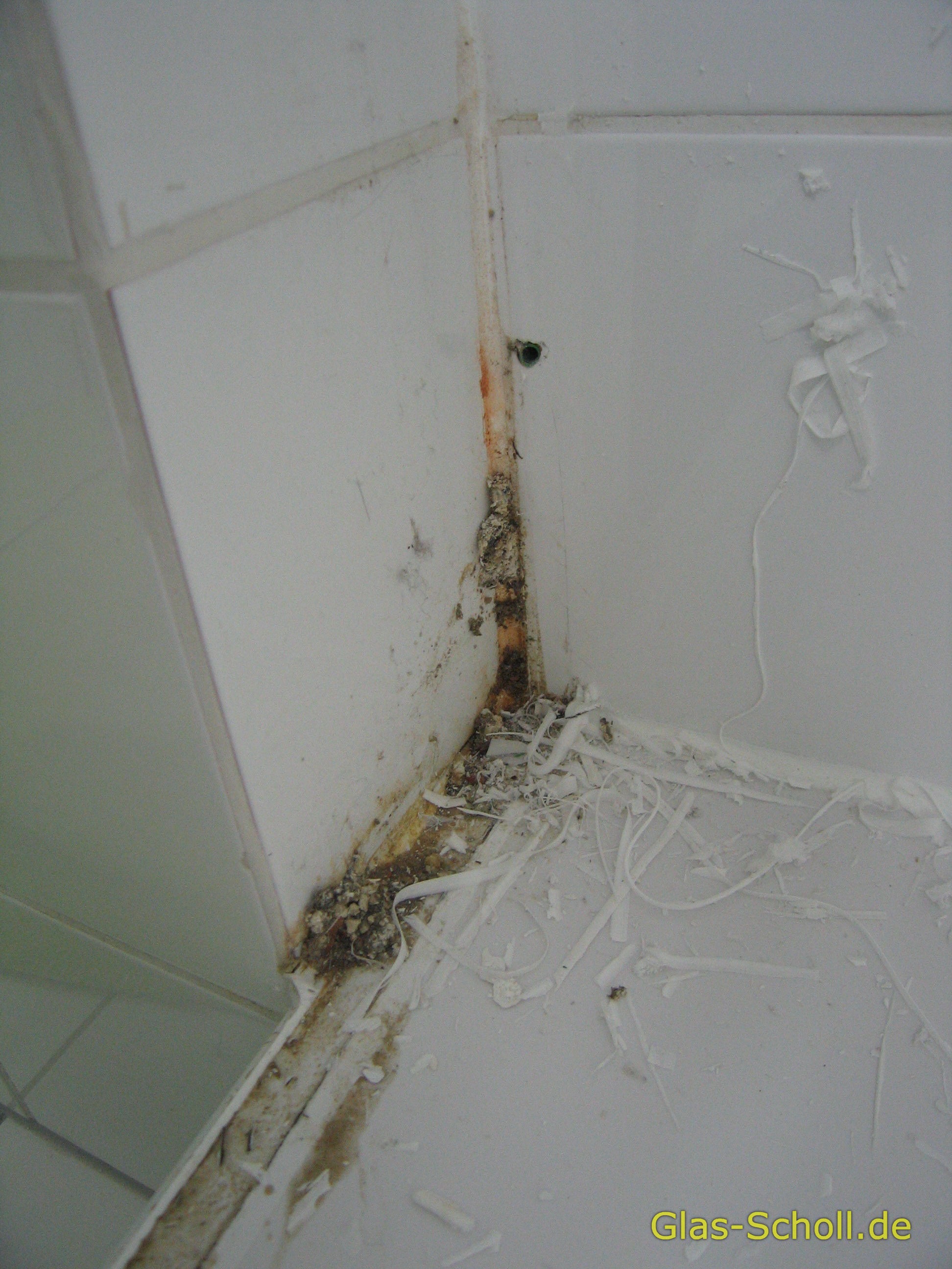 Schimmel hinter alter Duschwand von Glas-Scholl.de